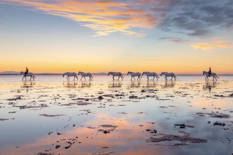 <a href='https://www.fodors.com/go-list/2025/europe#camargue'>Fodor’s Go List 2025: Camargue, France</a>