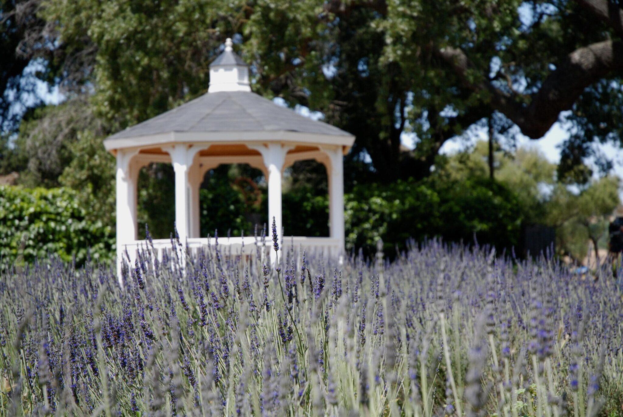 <a href='https://www.fodors.com/go-list/2025/usa#los-olivos'>Fodor’s Go List 2025: Los Olivos, California</a>