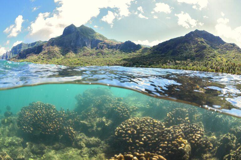 <a href='https://www.fodors.com/go-list/2025/australia-pacific#the-marquesas-islands'>Fodor’s Go List 2025: The Marquesas Islands, French Polynesia</a>
