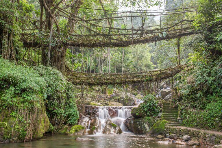 <a href='https://www.fodors.com/go-list/2025/asia#meghalaya'>Fodor’s Go List 2025: Meghalaya, India</a>