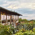 PR_Hacienda AltaGracia, Auberge Resorts Collection_ALG_Dine_Grano_3