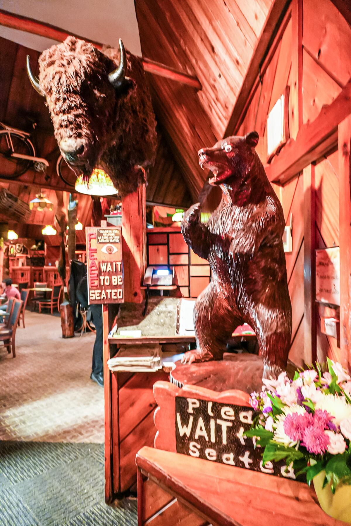 1_PR_Bear in shock grizzlyhouse5_Courtesy of Lauren Breedlove