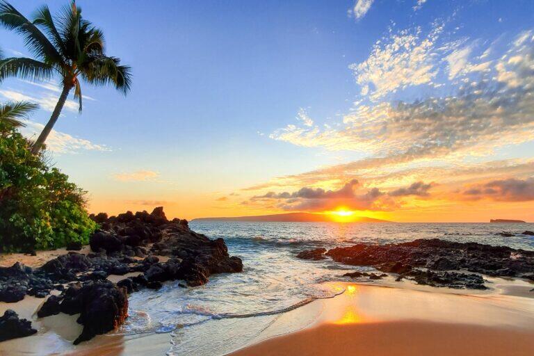 <a href='https://www.fodors.com/world/north-america/usa/hawaii/experiences/news/photos/important-things-to-know-before-traveling-to-hawaii#'>From "11 Things to Know Before Traveling to Hawaii: Documents and Visas You Might Need"</a>