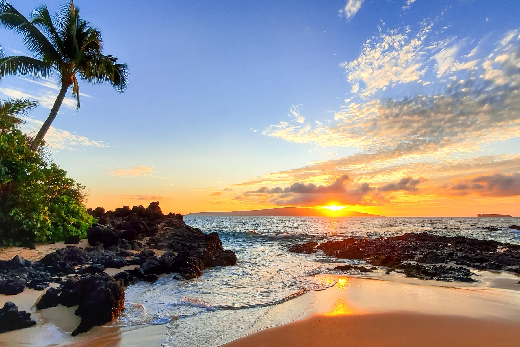 <a href='https://www.fodors.com/world/north-america/usa/hawaii/experiences/news/photos/important-things-to-know-before-traveling-to-hawaii#'>From "11 Things to Know Before Traveling to Hawaii: Documents and Visas You Might Need"</a>