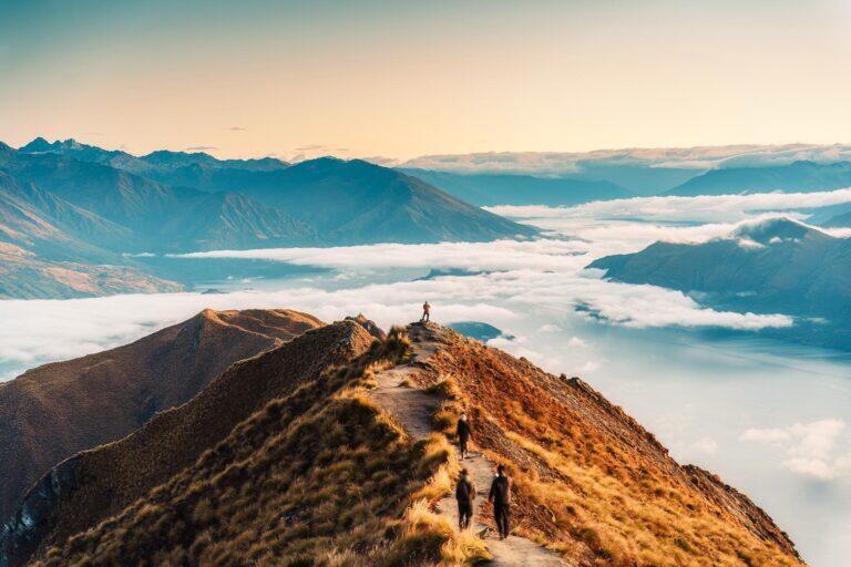 <a href='https://www.fodors.com/world/australia-and-the-pacific/new-zealand/experiences/news/photos/important-things-to-know-before-traveling-to-new-zealand#'>From "11 Things to Know Before Traveling to New Zealand"</a>