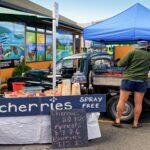 <a href='https://www.fodors.com/world/australia-and-the-pacific/new-zealand/experiences/news/photos/important-things-to-know-before-traveling-to-new-zealand#'>From "11 Things to Know Before Traveling to New Zealand"</a>