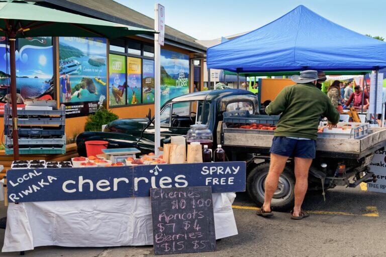 <a href='https://www.fodors.com/world/australia-and-the-pacific/new-zealand/experiences/news/photos/important-things-to-know-before-traveling-to-new-zealand#'>From "11 Things to Know Before Traveling to New Zealand"</a>