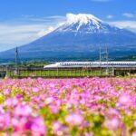 <a href='https://www.fodors.com/world/asia/japan/experiences/news/photos/important-things-to-know-before-traveling-to-japan#'>From "11 Things to Know Before Traveling to Japan: Transportation in Japan and Transport Tips"</a>