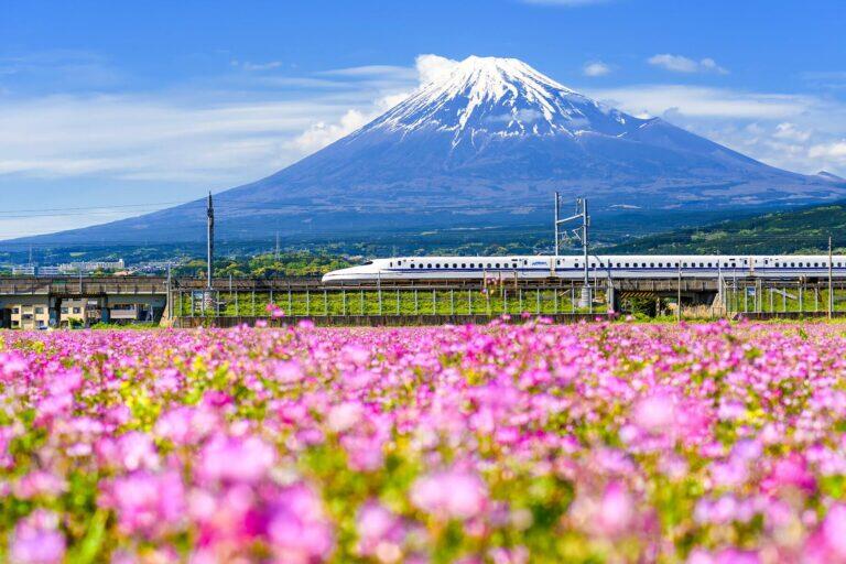 <a href='https://www.fodors.com/world/asia/japan/experiences/news/photos/important-things-to-know-before-traveling-to-japan#'>From "11 Things to Know Before Traveling to Japan: Transportation in Japan and Transport Tips"</a>