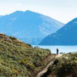 <a href='https://www.fodors.com/world/australia-and-the-pacific/new-zealand/experiences/news/photos/important-things-to-know-before-traveling-to-new-zealand#'>From "11 Things to Know Before Traveling to New Zealand"</a>
