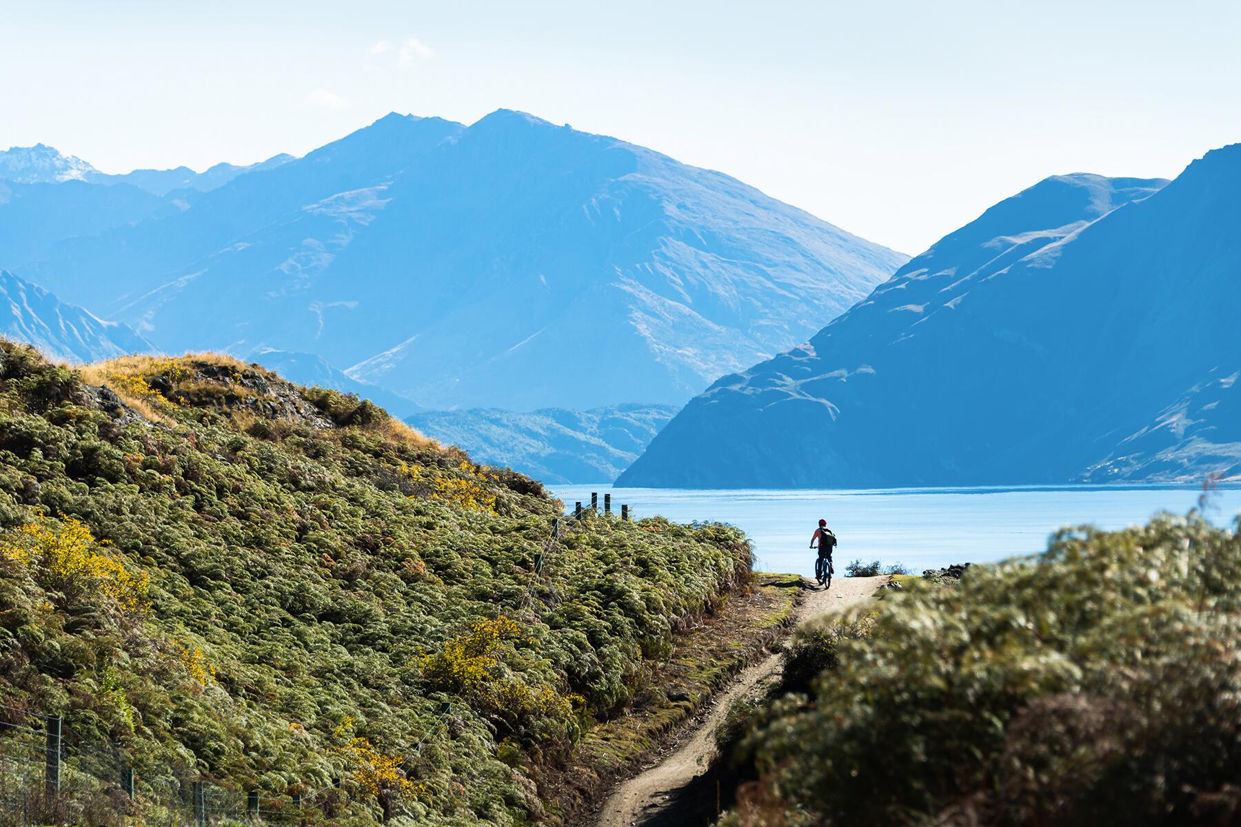 <a href='https://www.fodors.com/world/australia-and-the-pacific/new-zealand/experiences/news/photos/important-things-to-know-before-traveling-to-new-zealand#'>From "11 Things to Know Before Traveling to New Zealand"</a>