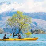 <a href='https://www.fodors.com/world/australia-and-the-pacific/new-zealand/experiences/news/photos/important-things-to-know-before-traveling-to-new-zealand#'>From "11 Things to Know Before Traveling to New Zealand"</a>