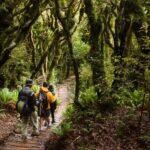<a href='https://www.fodors.com/world/australia-and-the-pacific/new-zealand/experiences/news/photos/important-things-to-know-before-traveling-to-new-zealand#'>From "11 Things to Know Before Traveling to New Zealand"</a>
