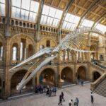 <a href='https://www.fodors.com/world/europe/england/london/experiences/news/photos/20-ultimate-things-to-do-in-london#'>From "The 15 Ultimate Things to Do in London in 2025 (And the Top Things to Avoid): Spend Off-Peak Hours at West London’s Free Museums"</a>