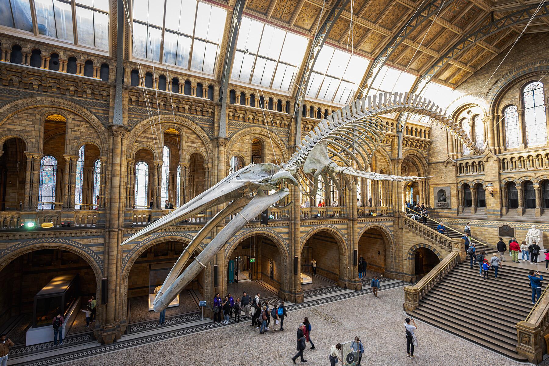 <a href='https://www.fodors.com/world/europe/england/london/experiences/news/photos/20-ultimate-things-to-do-in-london#'>From "The 15 Ultimate Things to Do in London in 2025 (And the Top Things to Avoid): Spend Off-Peak Hours at West London’s Free Museums"</a>