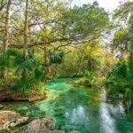 <a href='https://www.fodors.com/world/north-america/usa/florida/orlando/experiences/news/photos/things-tourists-should-never-do-in-orlando-florida#'>From "12 Reasons Locals in Orlando Hate Tourists: You Complain It’s Too Hot—But Only Hit Waterparks and Pools"</a>