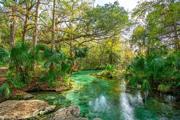 <a href='https://www.fodors.com/world/north-america/usa/florida/orlando/experiences/news/photos/things-tourists-should-never-do-in-orlando-florida#'>From "12 Reasons Locals in Orlando Hate Tourists: You Complain It’s Too Hot—But Only Hit Waterparks and Pools"</a>