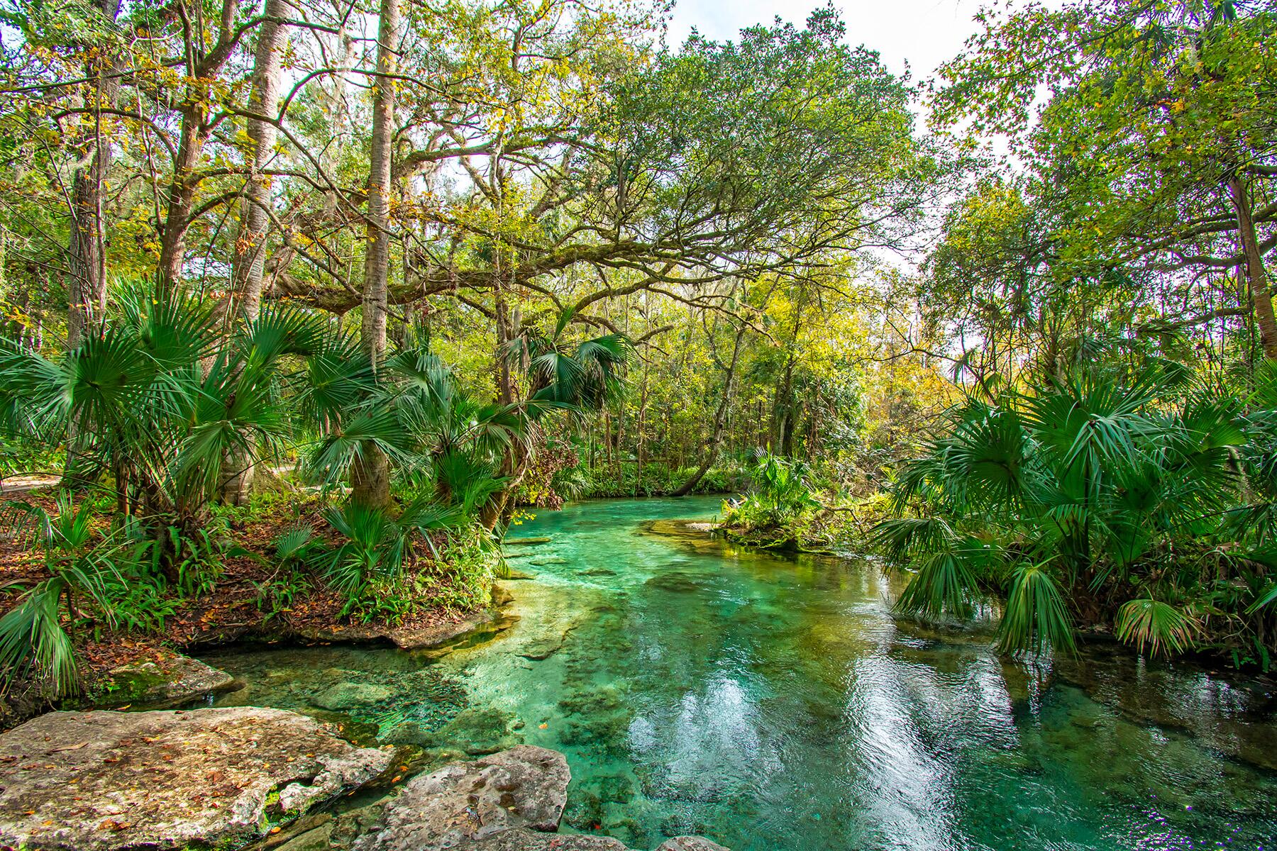 <a href='https://www.fodors.com/world/north-america/usa/florida/orlando/experiences/news/photos/things-tourists-should-never-do-in-orlando-florida#'>From "12 Reasons Locals in Orlando Hate Tourists: You Complain It’s Too Hot—But Only Hit Waterparks and Pools"</a>