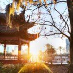 <a href='https://www.fodors.com/world/north-america/usa/florida/orlando/experiences/news/photos/things-tourists-should-never-do-in-orlando-florida#'>From "12 Reasons Locals in Orlando Hate Tourists: You Feed the Wildlife at Lake Eola"</a>