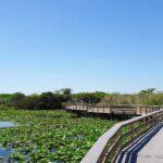 <a href='https://www.fodors.com/world/north-america/usa/florida/orlando/experiences/news/photos/things-tourists-should-never-do-in-orlando-florida#'>From "12 Reasons Locals in Orlando Hate Tourists: You Don’t Respect the Freshwater Safety Rules"</a>
