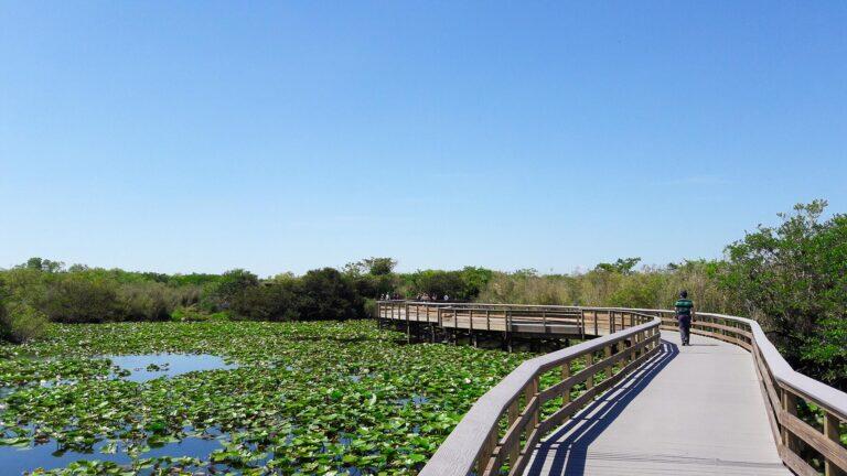 <a href='https://www.fodors.com/world/north-america/usa/florida/orlando/experiences/news/photos/things-tourists-should-never-do-in-orlando-florida#'>From "12 Reasons Locals in Orlando Hate Tourists: You Don’t Respect the Freshwater Safety Rules"</a>