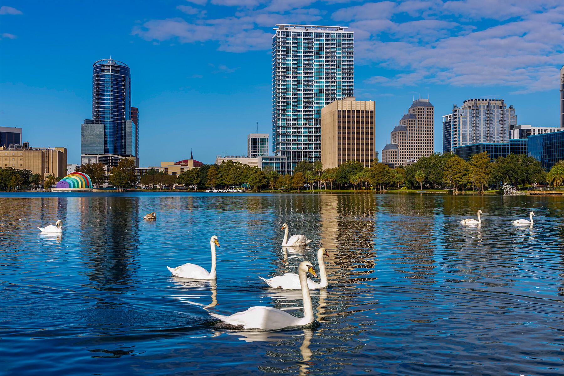 <a href='https://www.fodors.com/world/north-america/usa/florida/orlando/experiences/news/photos/things-tourists-should-never-do-in-orlando-florida#'>From "12 Reasons Locals in Orlando Hate Tourists: You Wonder, How Could Anyone Live Here?"</a>