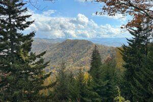 How to Spend One to Three Perfect Days in the Tennessee Smoky Mountains