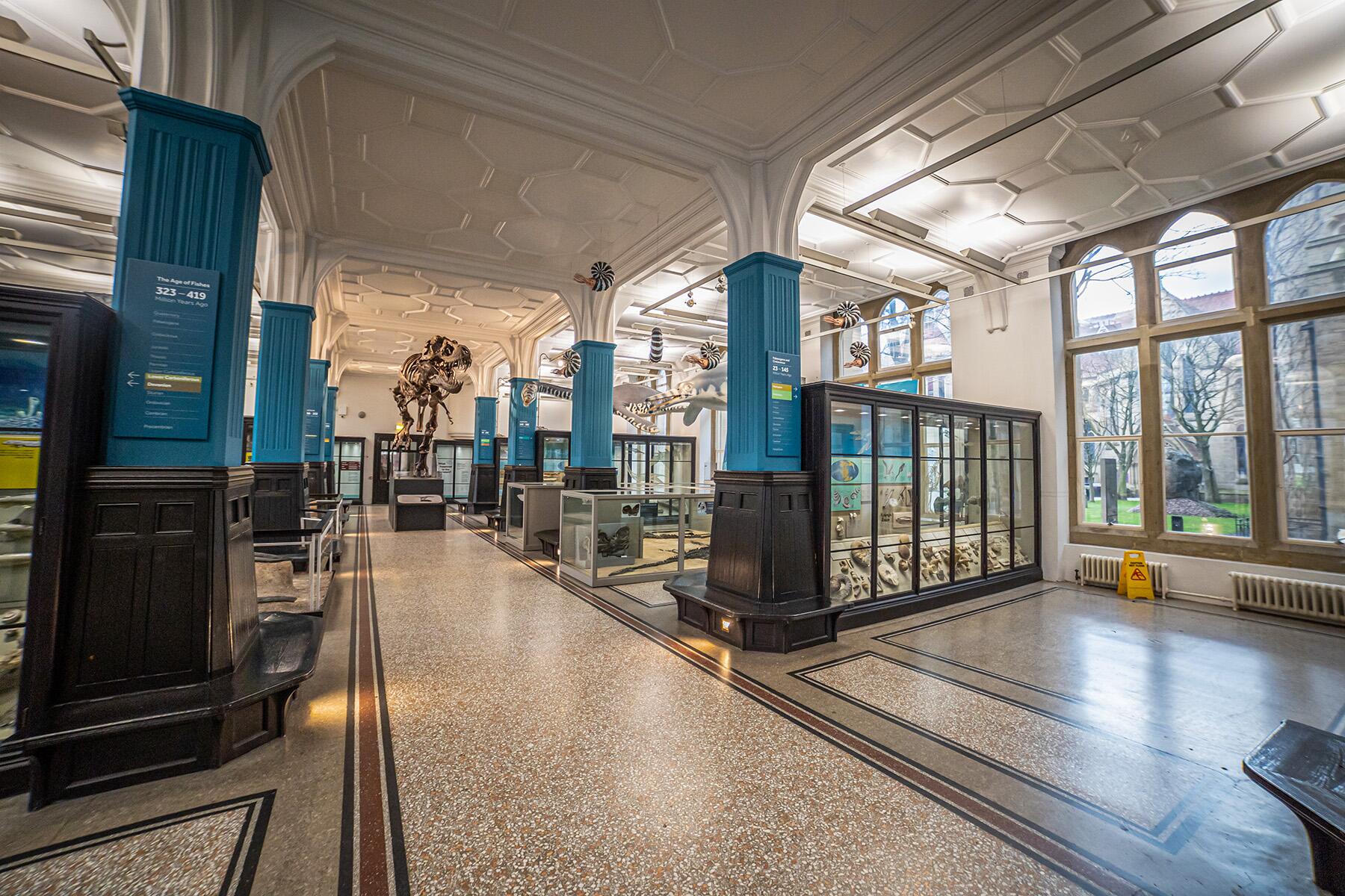 <a href='https://www.fodors.com/world/europe/england/manchester-liverpool-and-the-peak-district/places/manchester/experiences/news/photos/best-things-to-do-in-manchester-england#'>From "The 15 Best Things to Do in Manchester, England (and Top Things to Avoid): Spot Poisonous Dart Frogs, Dinosaurs, and Egyptian Mummies in Manchester Museum"</a>