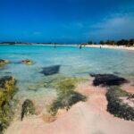 <a href='https://www.fodors.com/world/europe/greece/crete/experiences/news/photos/best-things-to-do-in-crete-greece#'>From "The 12 Best Things to Do in Crete, Greece (Plus the Top Things to Avoid): Elafonisi Beach"</a>