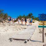 <a href='https://www.fodors.com/world/europe/greece/crete/experiences/news/photos/best-things-to-do-in-crete-greece#'>From "The 12 Best Things to Do in Crete, Greece (Plus the Top Things to Avoid): Chryssi Island "</a>