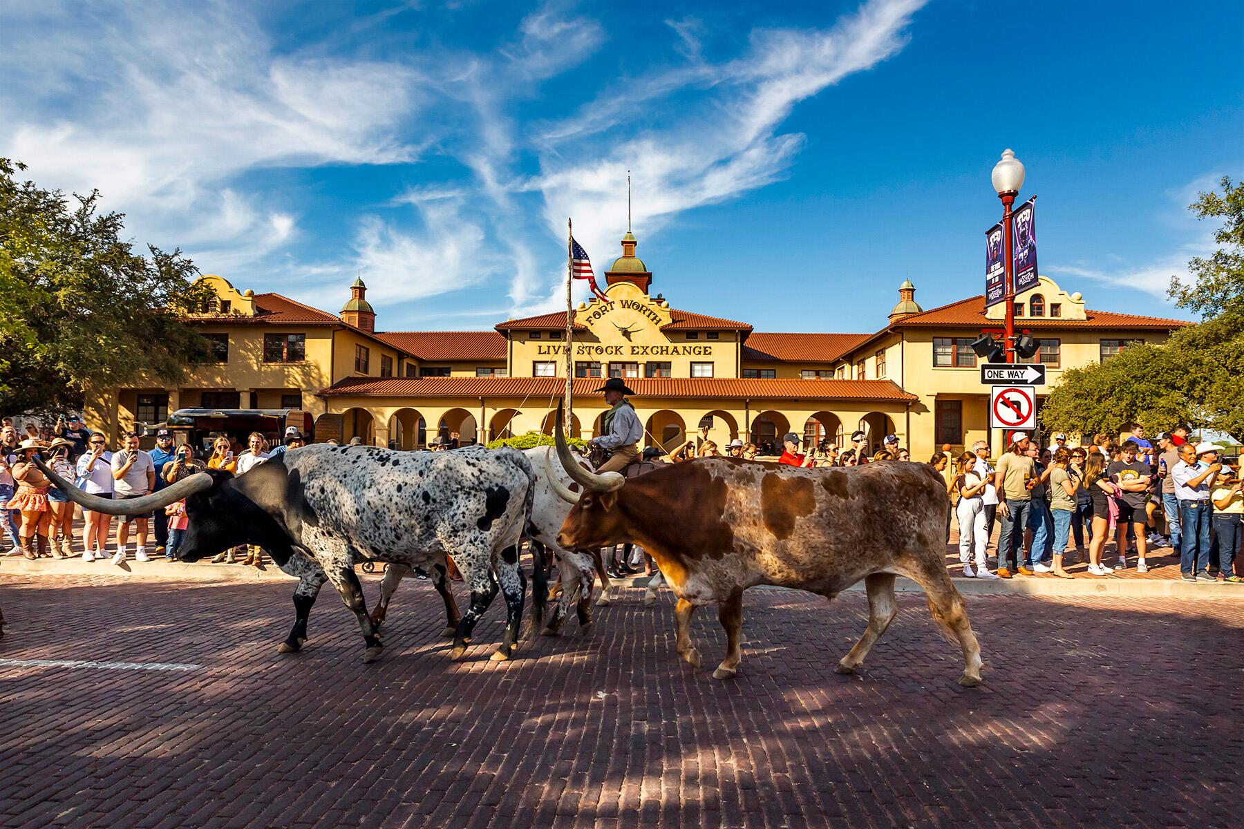 <a href='https://www.fodors.com/world/north-america/usa/texas/experiences/news/photos/what-to-pack-for-trip-to-texas#'>From "10 Important Rules for Dressing Right When You’re in Texas"</a>