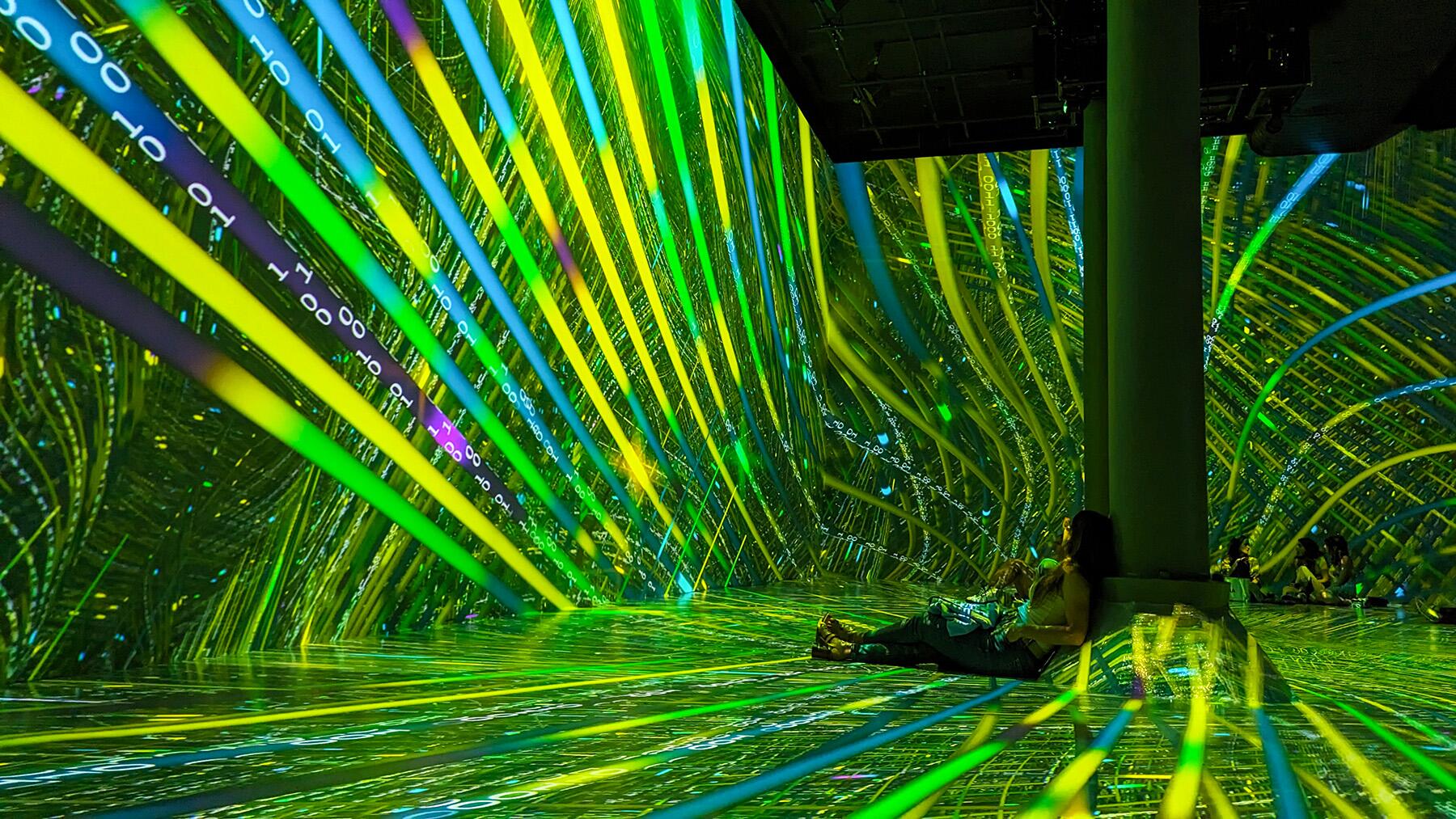 <a href='https://www.fodors.com/world/north-america/usa/new-york/new-york-city/experiences/news/photos/best-things-to-do-in-new-york-city#'>From "The 15 Best Things to Do in New York City (and Top Things to Avoid): Things to Avoid: Artechouse"</a>