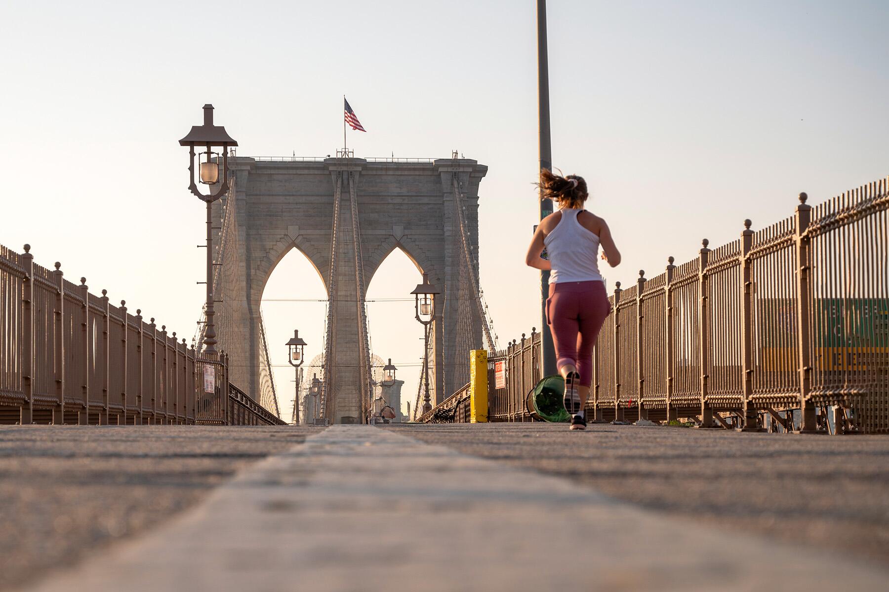 <a href='https://www.fodors.com/world/north-america/usa/new-york/new-york-city/experiences/news/photos/best-things-to-do-in-new-york-city#'>From "The 15 Best Things to Do in New York City (and Top Things to Avoid): Visit Brooklyn Bridge Park & Brooklyn Heights Promenade"</a>