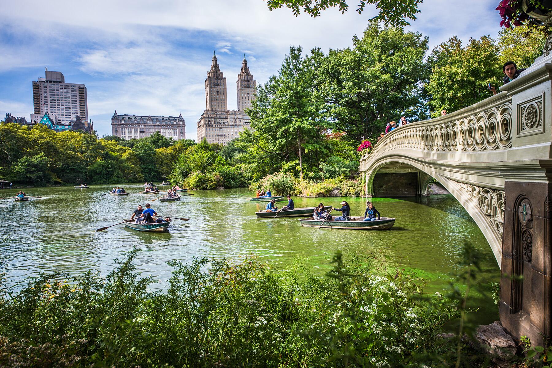 <a href='https://www.fodors.com/world/north-america/usa/new-york/new-york-city/experiences/news/photos/best-things-to-do-in-new-york-city#'>From "The 15 Best Things to Do in New York City (and Top Things to Avoid): Visit Central Park "</a>