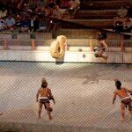 <a href='https://www.fodors.com/world/mexico-and-central-america/mexico/cancun/experiences/news/photos/best-things-to-do-in-cancun#'>From "The 15 Best Things to Do in Cancun (and Top Things to Avoid): Catch Xcaret’s México Espectacular Night Show"</a>