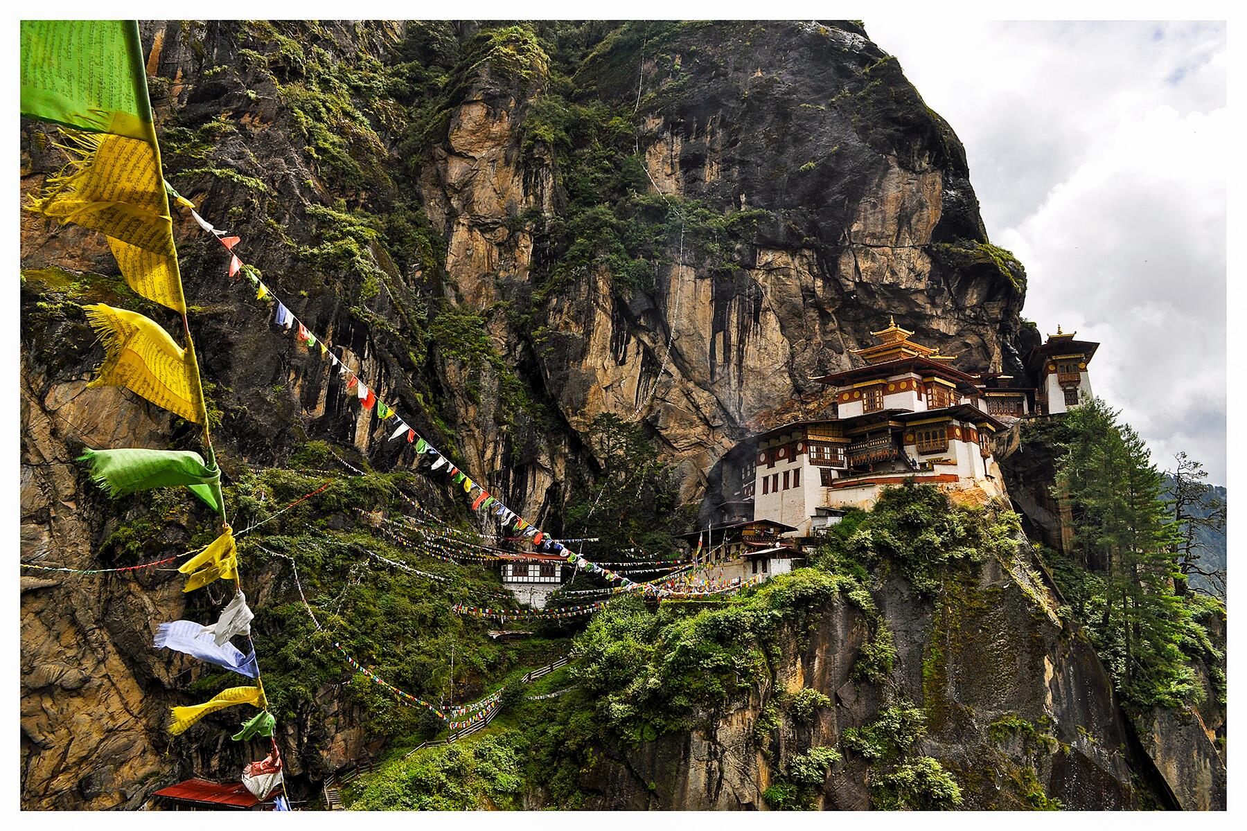 Asia_Bhutan_Unknown_Tigers nest_Istockphoto_822816268_Rajeev Rajagopalan_Hero