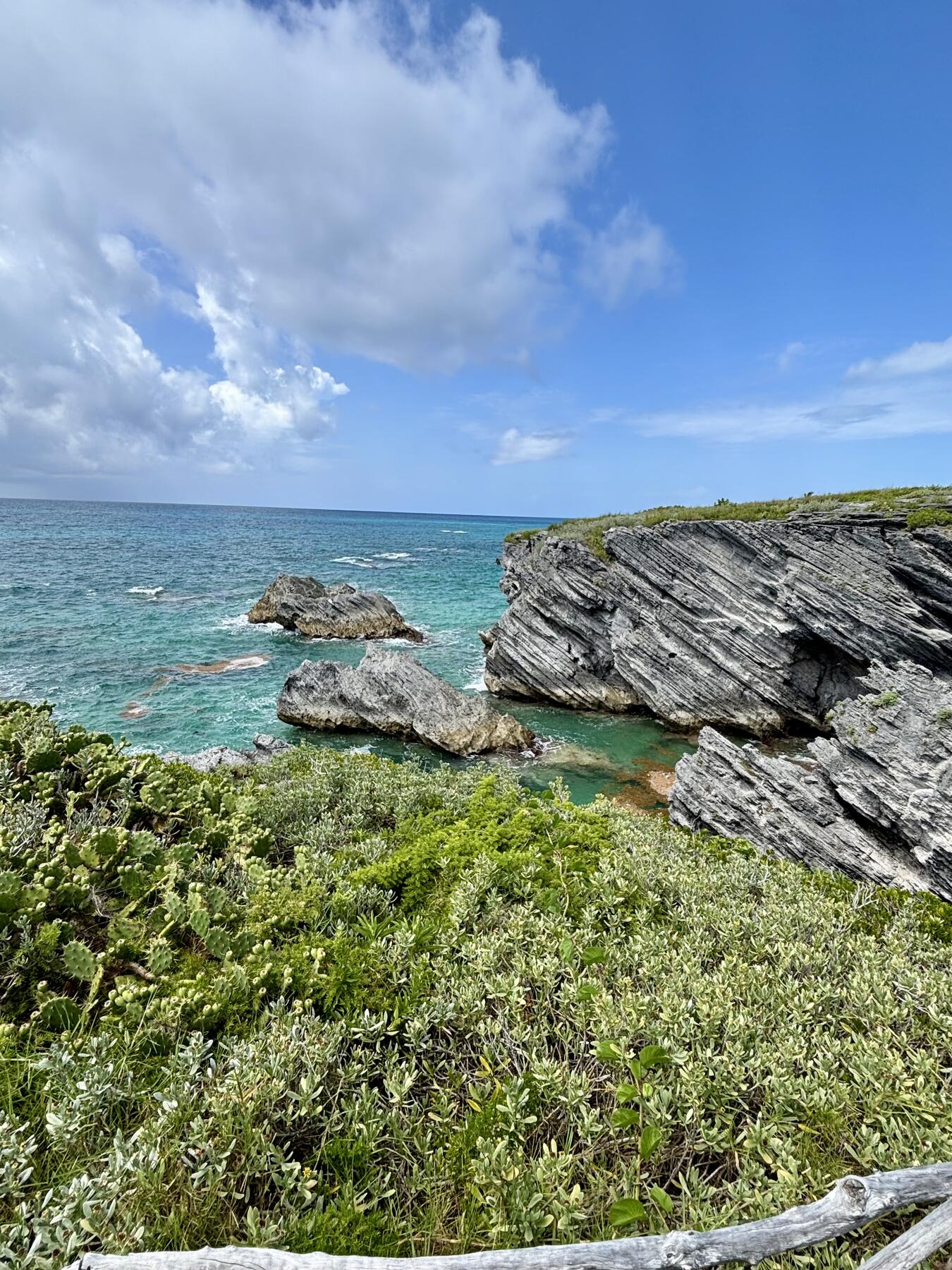 <a href='https://www.fodors.com/world/caribbean/bermuda/experiences/news/photos/bermuda-travel-guide-why-this-atlantic-island-isnt-the-caribbean#'>From "Our Favorite Caribbean Island Isn’t in the Caribbean: Why Is Bermuda Different Than the Caribbean?"</a>