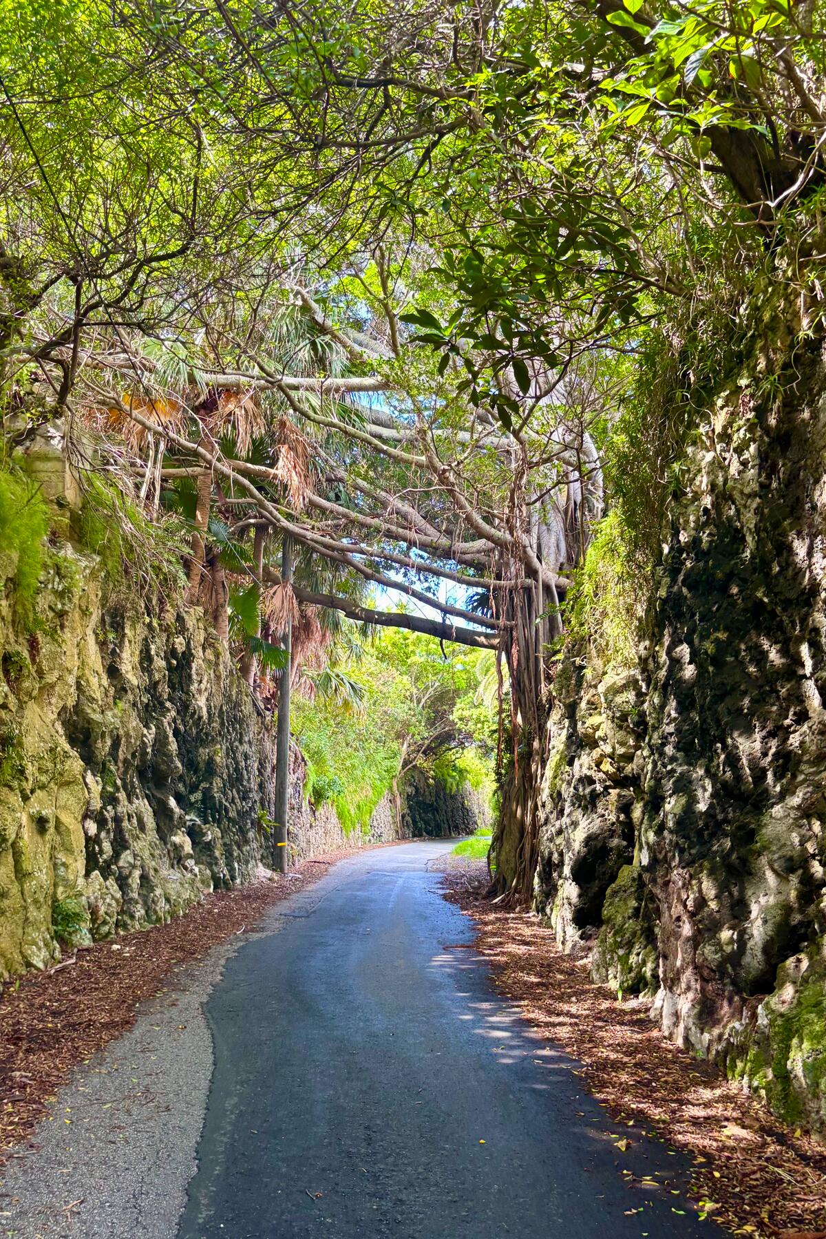 <a href='https://www.fodors.com/world/caribbean/bermuda/experiences/news/photos/bermuda-travel-guide-why-this-atlantic-island-isnt-the-caribbean#'>From "Our Favorite Caribbean Island Isn’t in the Caribbean: What Is There to Do?"</a>