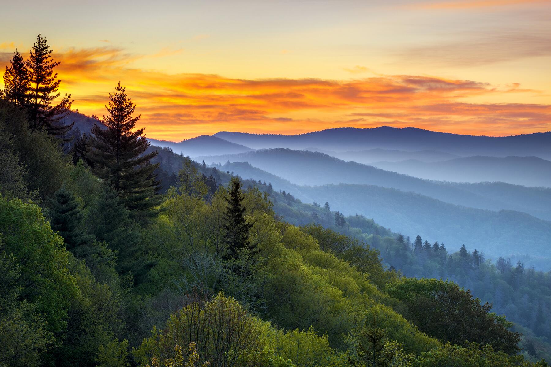 Great Smoky Mountains 101: Everything to Know Before Visiting the National Park