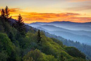 Great Smoky Mountains 101: Everything to Know Before Visiting the National Park