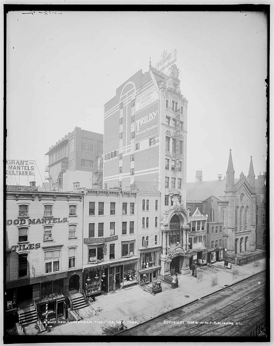 <a href='https://www.fodors.com/world/north-america/usa/new-york/new-york-city/experiences/news/photos/most-haunted-spots-in-new-york-city#'>From "The 10 Most Haunted Spots in New York City: New Amsterdam Theatre"</a>