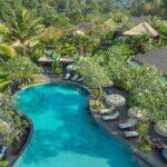 Main Pool_Aerial View