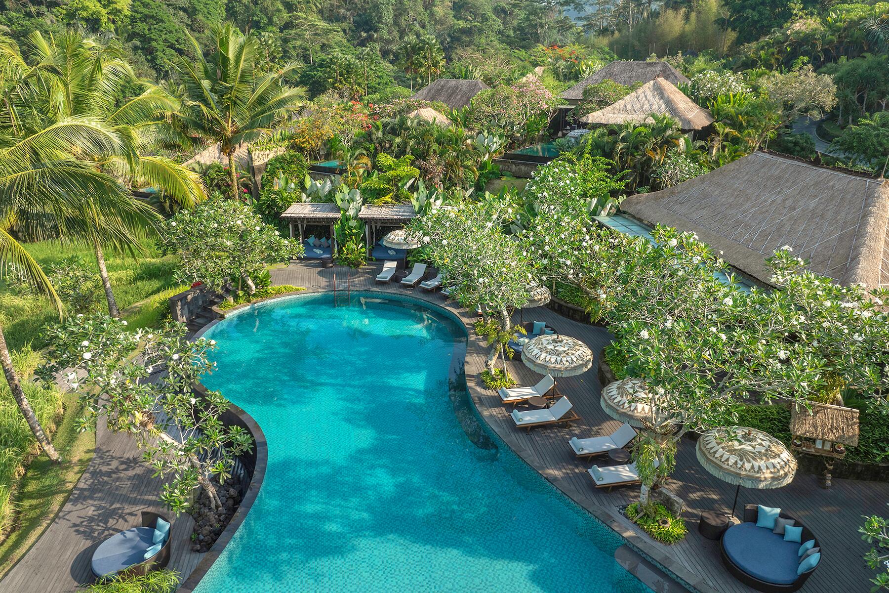 Main Pool_Aerial View