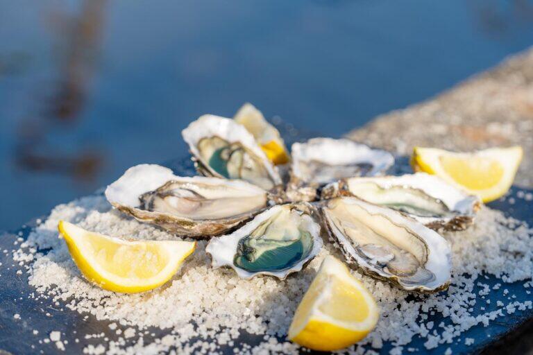<a href='https://www.fodors.com/world/europe/france/experiences/news/photos/ile-doleron-the-under-the-radar-french-island#'>From "The Island the French Don’t Want You to Know About: The Oyster Route"</a>