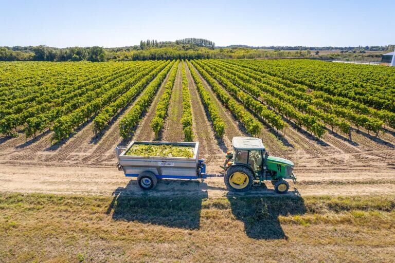 <a href='https://www.fodors.com/world/europe/france/experiences/news/photos/ile-doleron-the-under-the-radar-french-island#'>From "The Island the French Don’t Want You to Know About: French Wine With American Roots"</a>