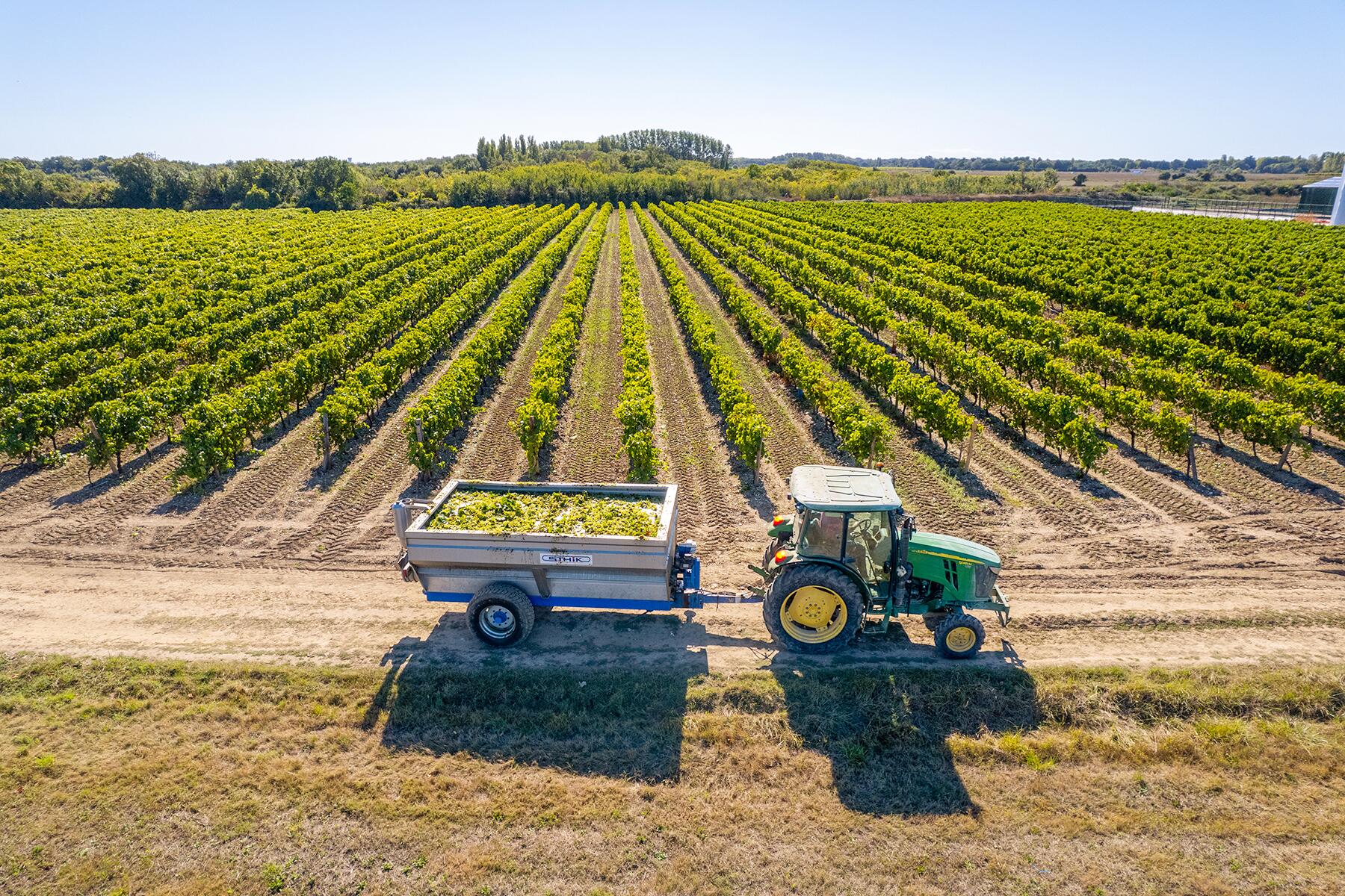 <a href='https://www.fodors.com/world/europe/france/experiences/news/photos/ile-doleron-the-under-the-radar-french-island#'>From "The Island the French Don’t Want You to Know About: French Wine With American Roots"</a>