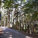 <a href='https://www.fodors.com/world/north-america/usa/georgia/central-and-north-georgia/places/athens/experiences/news/photos/best-music-in-athens-georgia#'>From "How One Small Southern Town Became a Modern Music Epicenter: Dudley Park "</a>