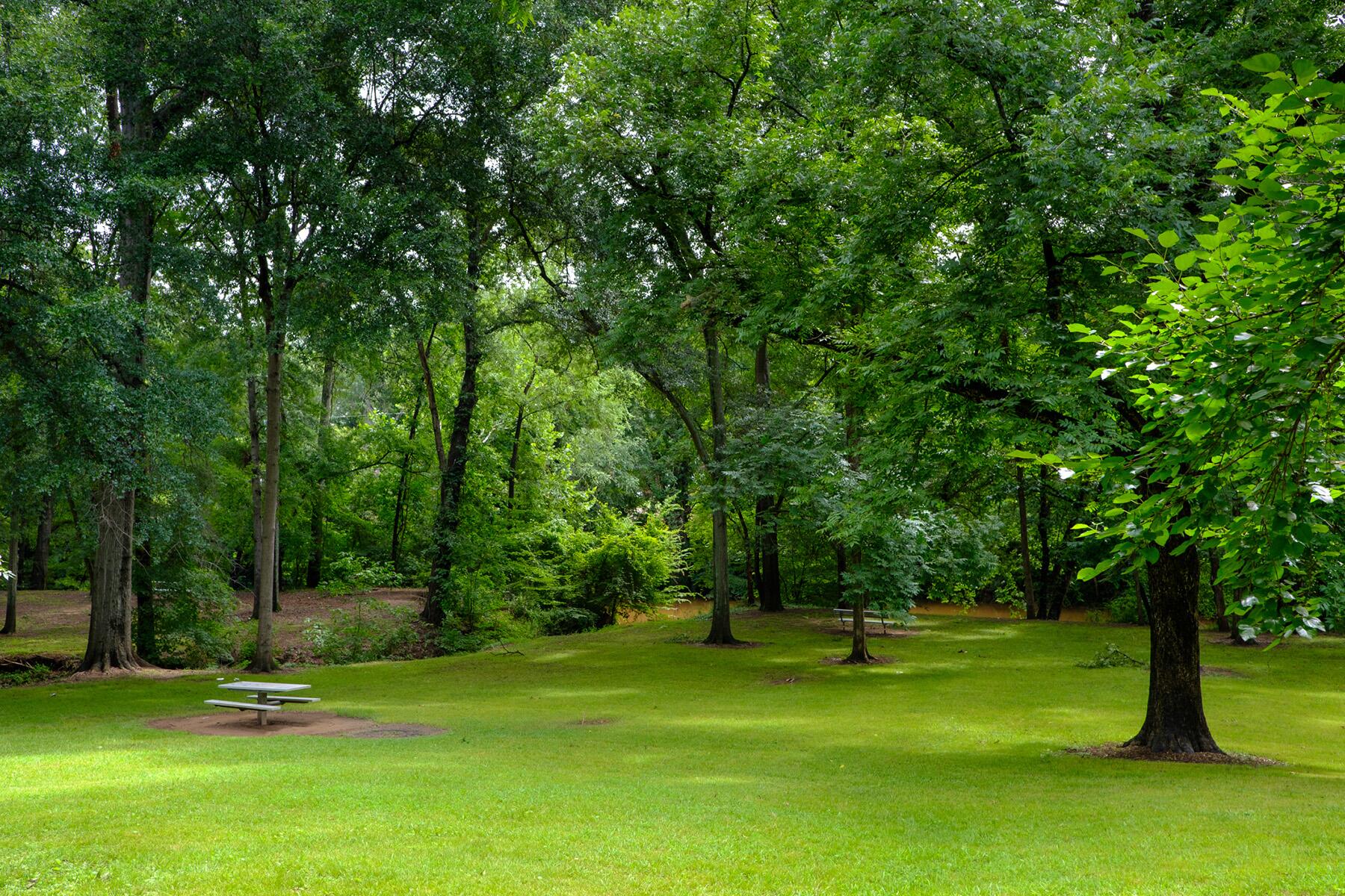 <a href='https://www.fodors.com/world/north-america/usa/georgia/central-and-north-georgia/places/athens/experiences/news/photos/best-music-in-athens-georgia#'>From "How One Small Southern Town Became a Modern Music Epicenter"</a>