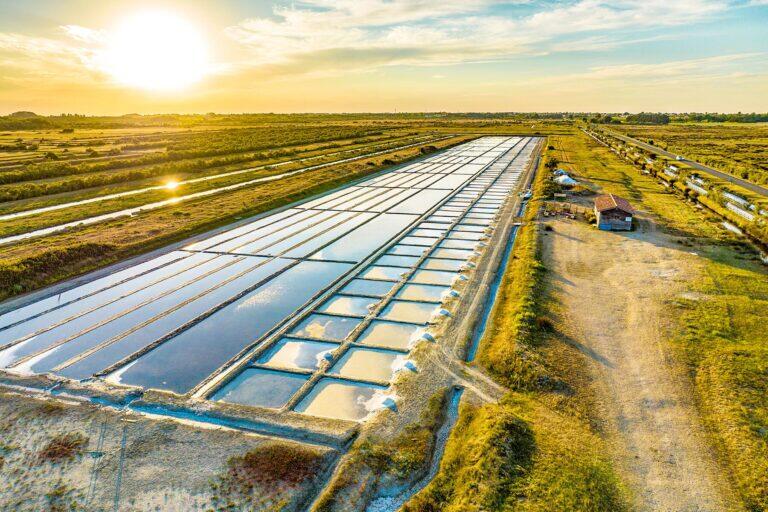 <a href='https://www.fodors.com/world/europe/france/experiences/news/photos/ile-doleron-the-under-the-radar-french-island#'>From "The Island the French Don’t Want You to Know About: Are You Oléron’s Next Saunier?"</a>