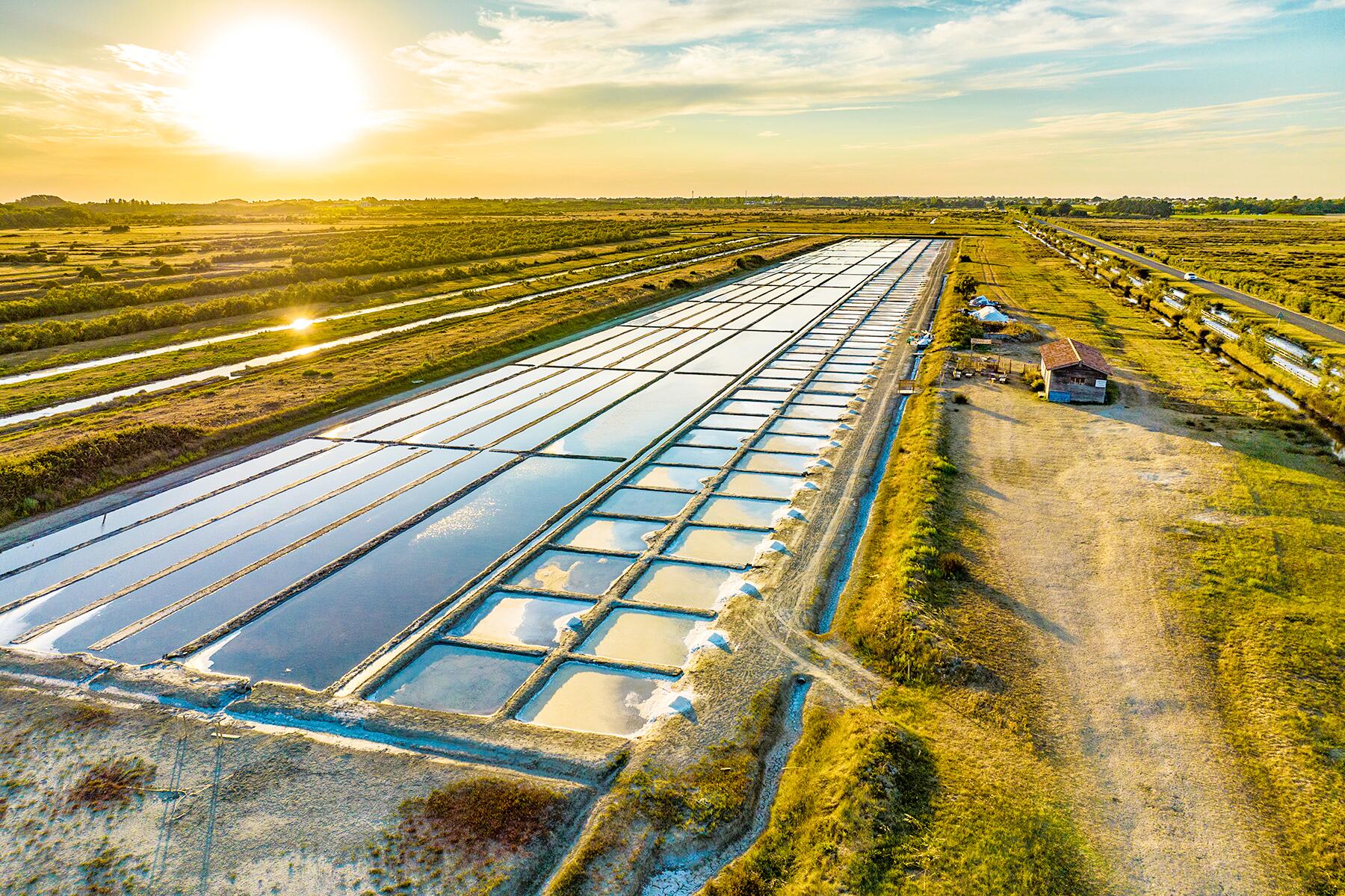 <a href='https://www.fodors.com/world/europe/france/experiences/news/photos/ile-doleron-the-under-the-radar-french-island#'>From "The Island the French Don’t Want You to Know About: Are You Oléron’s Next Saunier?"</a>